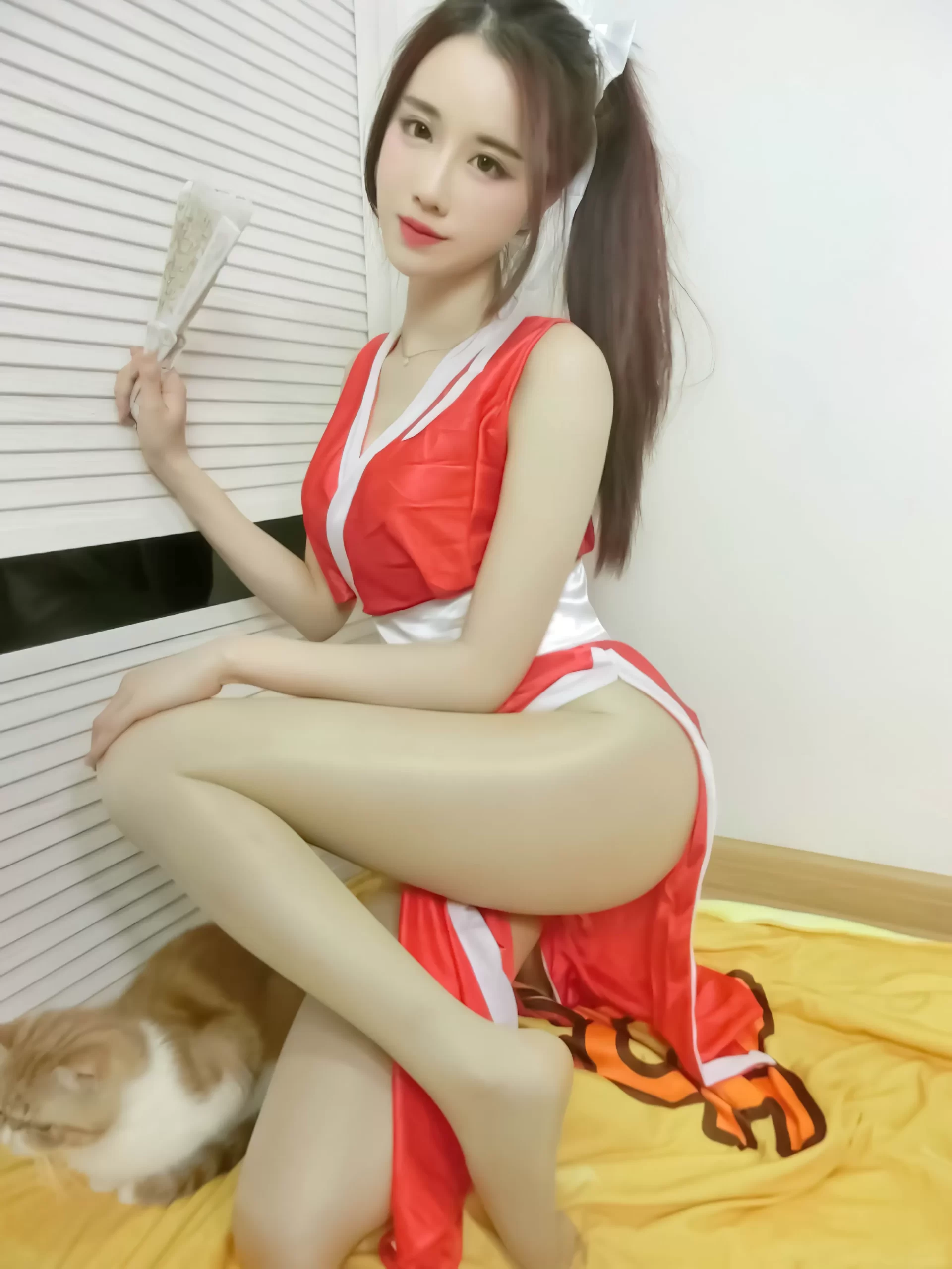 轩子巨2兔