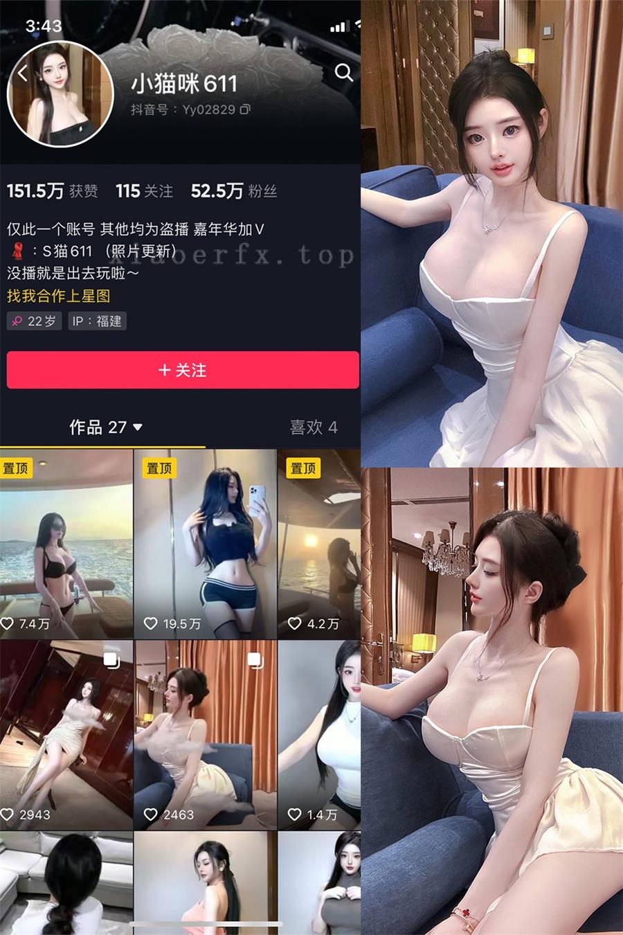 小猫咪611