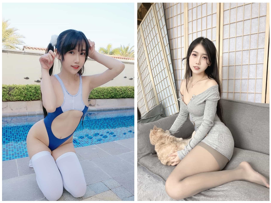 不呆猫